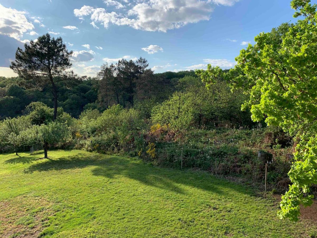 La Maison Des Oiseaux Peyzac-le-Moustier Esterno foto