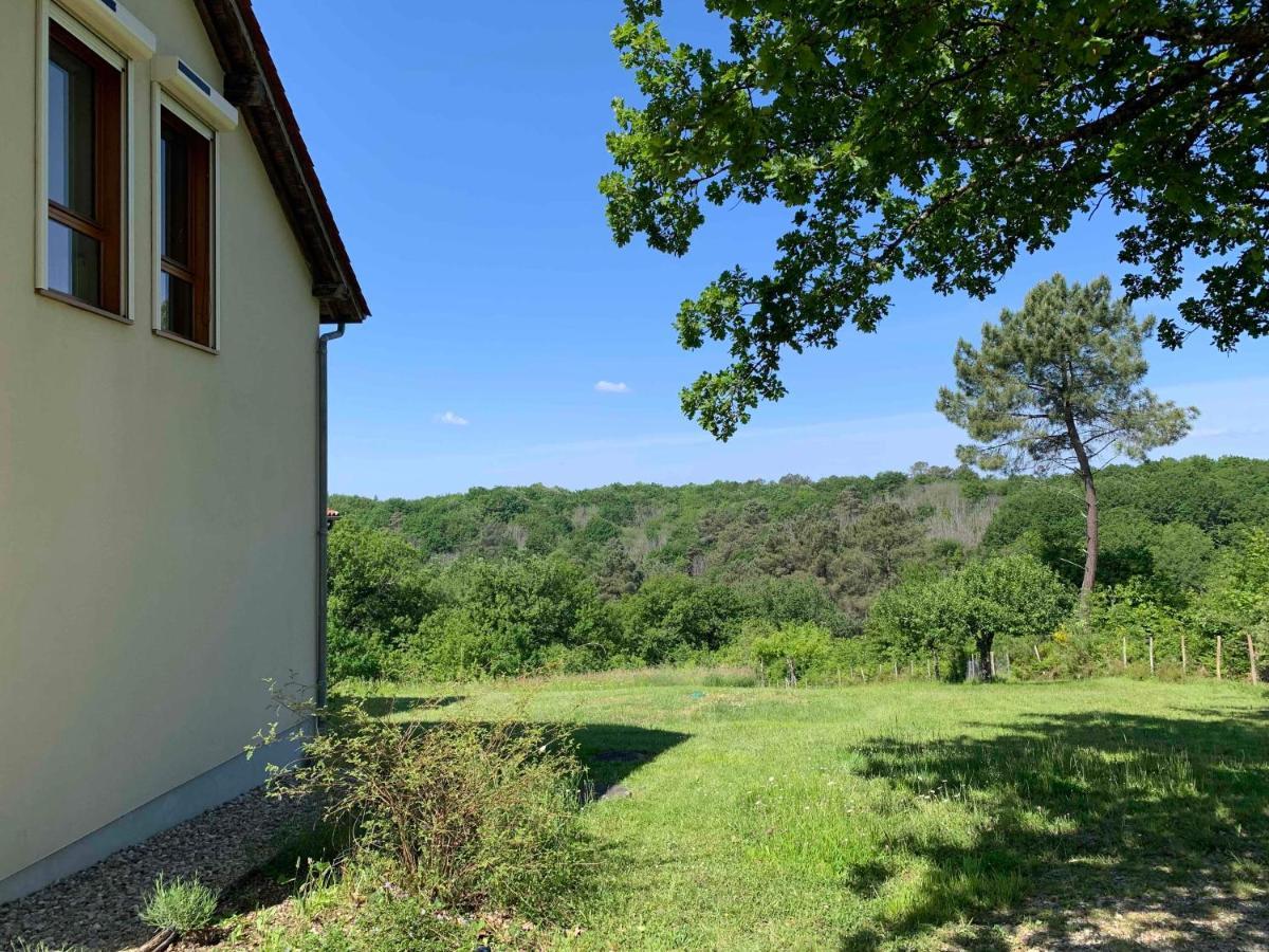 La Maison Des Oiseaux Peyzac-le-Moustier Esterno foto